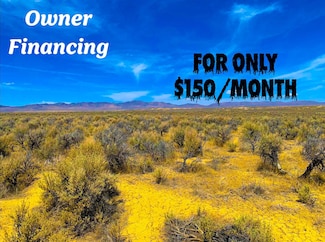 Jefferson 20th St, Osino, NV 89801