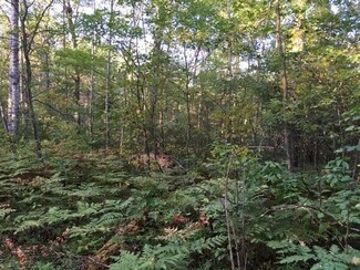 5070 Woodridge Dr Unit Parcel 304, Lewiston, MI 49756
