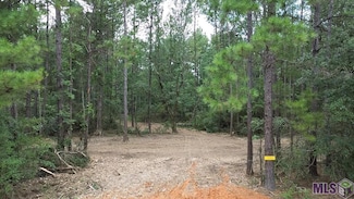 Tract A Whiskey Ln Unit A, Tickfaw, LA 70466