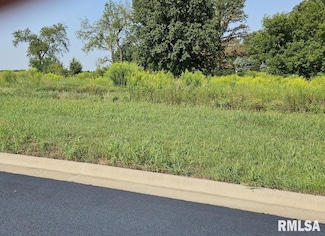 Lot 92 Kyle Ct, Metamora, IL 61548