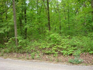 Tbd Fox Circle Dr, Mountain View, MO 65548