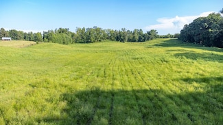 000 Conner Whitefield Rd, Ripley, TN 38063