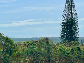 0 Hekau St Unit 721177, Naalehu, HI 96772