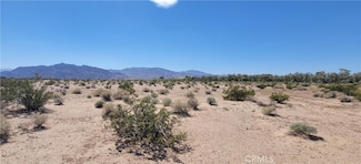 0 Black Butte Rd Unit HD24218733, Newberry Springs, CA