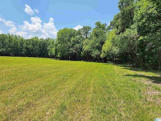 810 Highway 24 Unit 4, Montevallo, AL 35115
