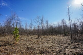 16 Dodds Rd, Piketon, OH 45646