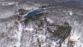 0 Ave Unit LotWP001, Lake, MI 48632