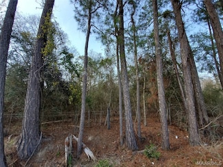849 Baltzer Rd, Wetumpka, AL 36092