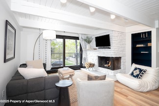 901 E Hyman Ave Unit 4, Aspen, CO 81611