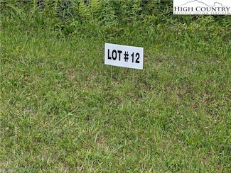 Lot 12 Briarwood Ln, Sparta, NC 28675