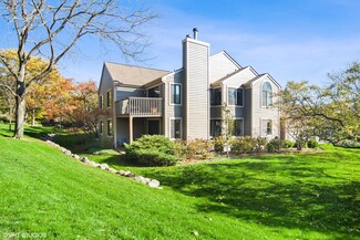 496 White Oak Ln Unit 1159, Lake Barrington, IL 60010
