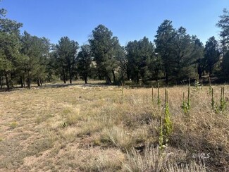 1474 Elkhorn, Cotopaxi, CO 81223