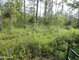 2 River Trail, Burgaw, NC 28425