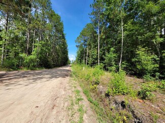 9.8 Steve Bulloch Rd, Pembroke, GA 31321