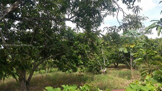 26830 +/1 SW 167 Ave, Homestead, FL 33031