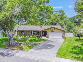 2128 Flamingo Place, Safety Harbor, FL 34695