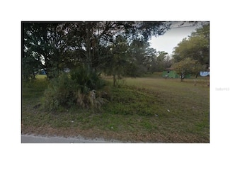 0 Randolph St Unit MFRO6322410, Crescent City, FL 32112
