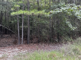 0 Cordova Rd, Grand Cane, LA 71032