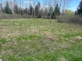 0 Sage Lake Rd, Prescott, MI 48756