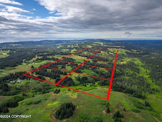 L6 Nka Crossman Ridge Ave, Homer, AK 99603