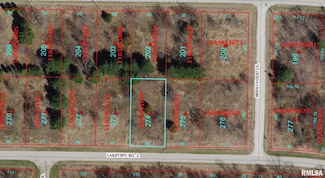 2274 S Lakeview Rd, Dahinda, IL 61428