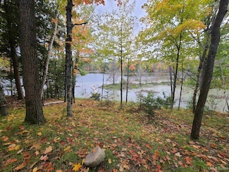 W16125 S Loop Dr, Fence T-Wi, WI 54120