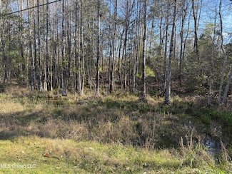 976 Pokai St, Diamondhead, MS 39525