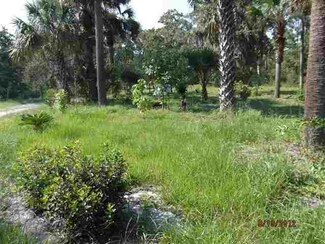 0 John Sadler Ln Unit 235272, Perry, FL 32348