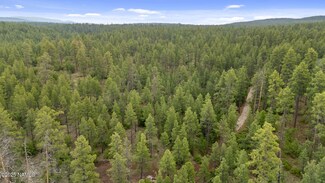 1430 E Puma Place Unit B, Munds Park, AZ 86017