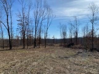 0 W Fletcher Ridge Rd Unit 1138506, Seligman, MO 65745