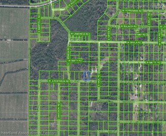 3160 W Jurgenson Rd, Avon Park, FL 33825