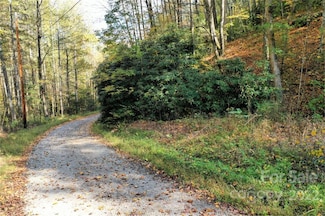 VL40 Mountain Forest Estates None Unit 40, Sylva, NC 28779