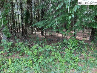TBD Doell Ln, Sparta, NC 28675