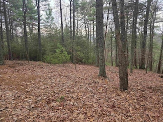 470 Lumber Ln, Max Meadows, VA 24360