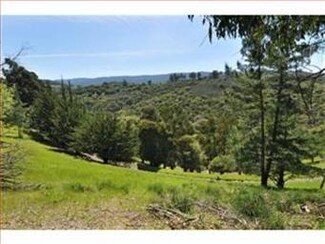 3364 La Mesa Dr Unit 7, San Carlos, CA 94070