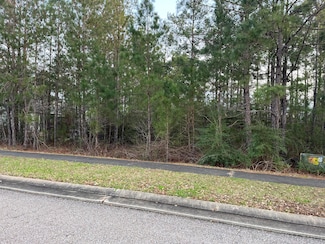 42 S of Fields, Hattiesburg, MS 39402