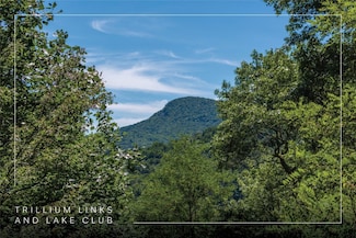 Lot 1 Trillium Ridge Rd, Cullowhee, NC 28723