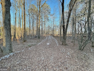 0 N State Line Rd Unit 10540788, Lagrange, GA 30240