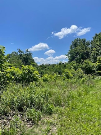 0 S 3rd St, Owensville, MO 65066