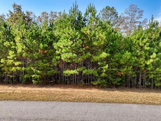 Lot 42 Water Oak Ln, Blairsville, GA 30512