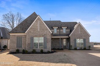 2923 Liam Ln, Nesbit, MS 38651