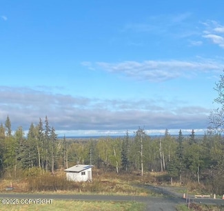 32603 Rickard St, Anchor Point, AK 99556