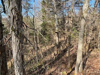 Lot 71 Happy Hollow Ln, Sevierville, TN 37876