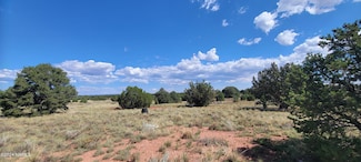4643 Juniper Rd, Williams, AZ 86046