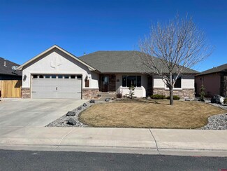 1455 Criterion St, Delta, CO 81416