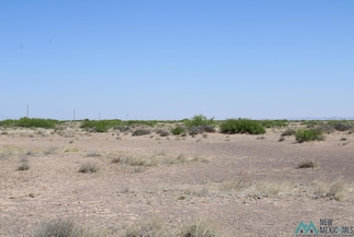 0 Harrison Rd SE Unit 20232297, Deming, NM 88030
