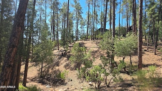 401 N Grapevine Dr Unit 525, Payson, AZ 85541