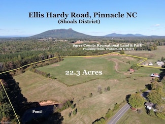 481 Ellis Hardy Rd Unit 22.3 Ac, Pinnacle, NC 27043
