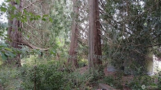 0 127th Ave NE Unit NWM2422016, Arlington, WA 98223