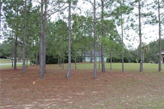 2590 N Brentwood Cir, Lecanto, FL 34461